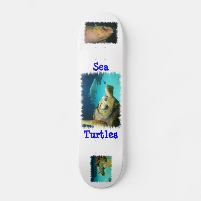 Sea Turtle Design Skateboard Deck (Front)
