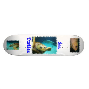 Sea Turtle Design Skateboard Deck