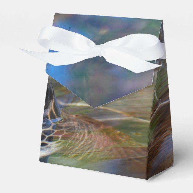 Sea Turtle Favor Boxes (Front Side)