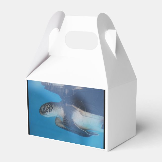 Sea Turtle Favor Boxes (Front Side)