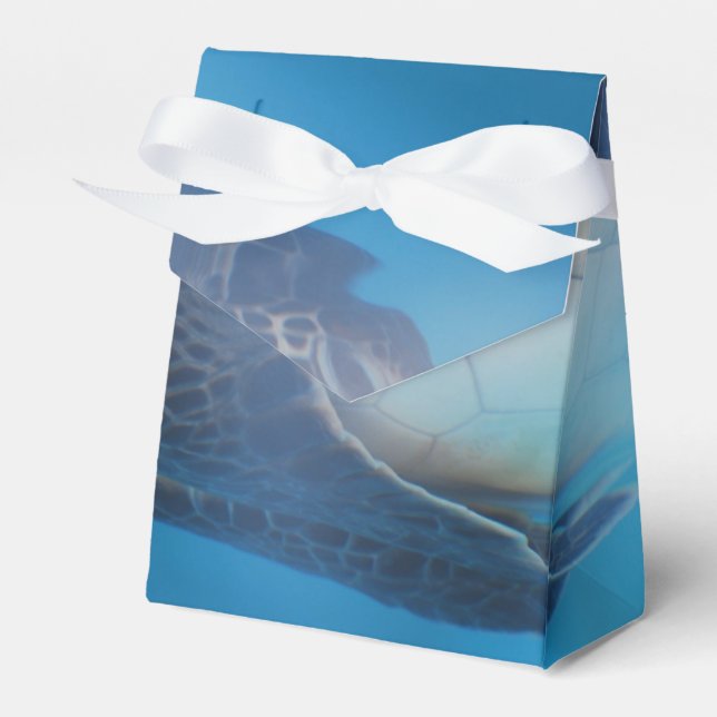 Sea Turtle Favor Boxes (Front Side)