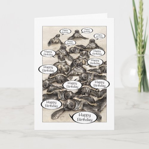Sea Turtle Hatchlings From All of Us Birthday Card