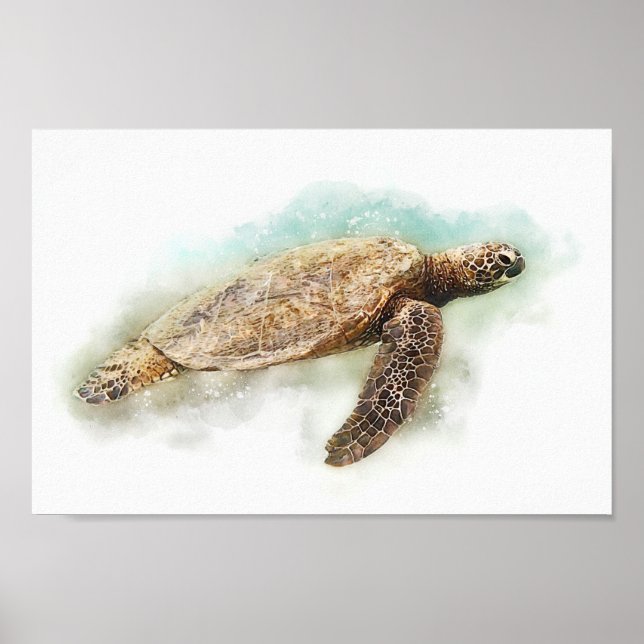 Sea Turtle - Hawaiian Green Sea Turtle Watercolor Poster (Front)