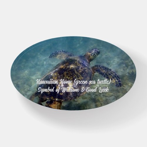 Sea Turtle Honu Paperweight