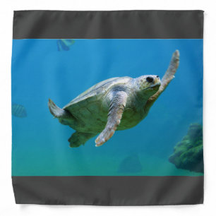 Sea turtle in blue water bandana