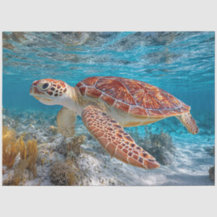 Sea Turtle in Clear Water Decoupage Tissue Paper