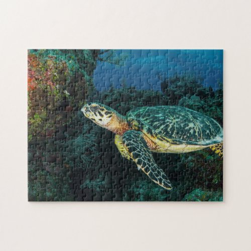 Sea Turtle in the Blue Ocean and Marine Life  Jigsaw Puzzle