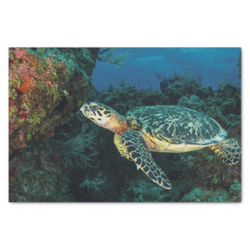 Sea Turtle in the Blue Ocean and Marine Life  Tissue Paper