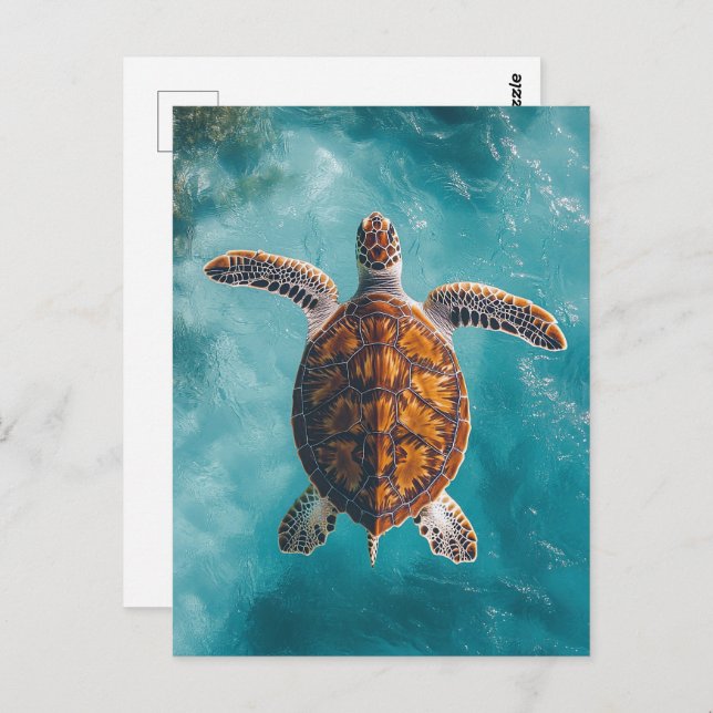 Sea Turtle in Turquoise Ocean Postcard (Front/Back)