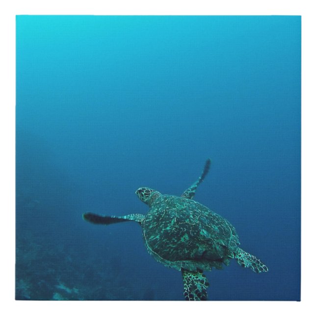SEA TURTLE IN WATER FAUX CANVAS PRINT (Front)