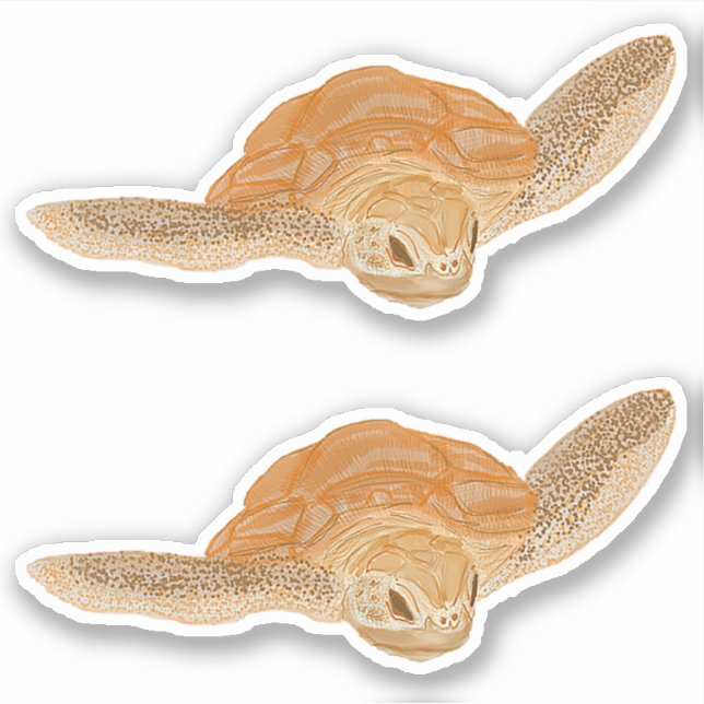 Sea Turtle in Water - transparent. Sticker (Front)