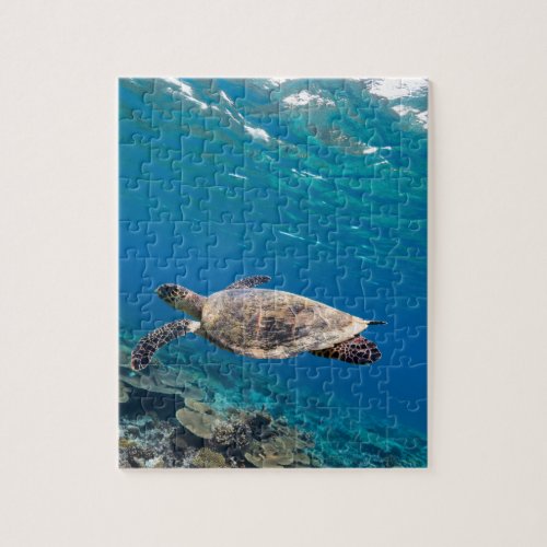 Sea turtle jigsaw puzzle