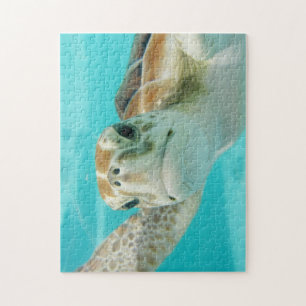Sea turtle jigsaw puzzle 