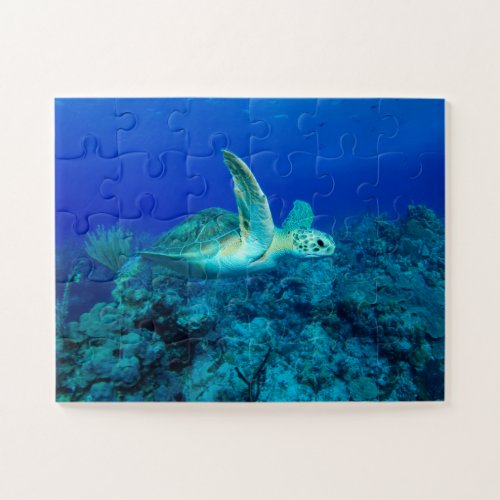 Sea Turtle Kids Jigsaw Puzzle