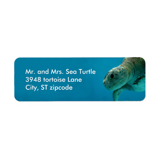 Slow Turtle Labels sea turtle label | Zazzle