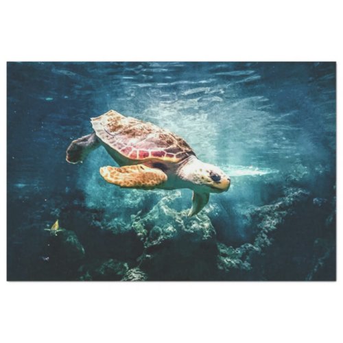Sea Turtle Loggerhead Decoupage Tissue Paper