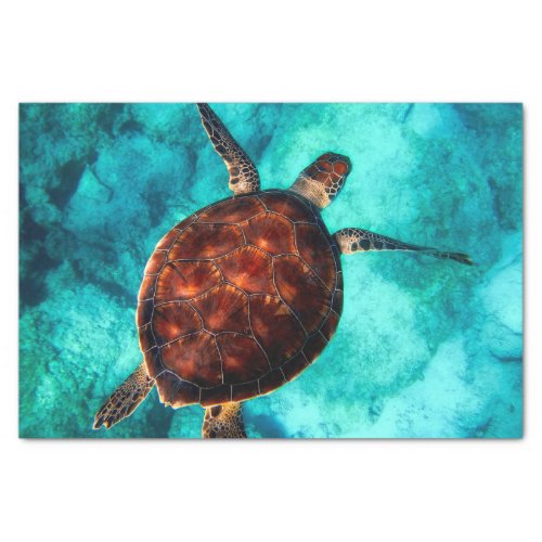 Sea Turtle Loggerhead Diving Decoupage Tissue Paper