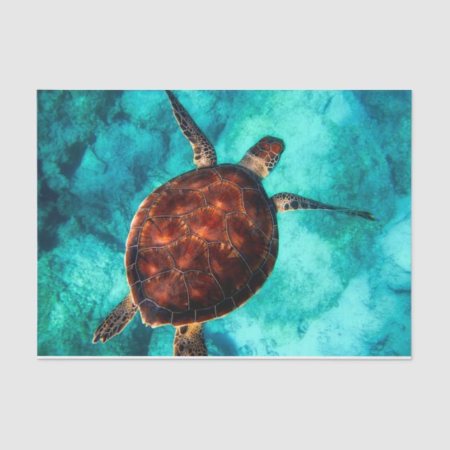 Sea Turtle Loggerhead Diving Decoupage Tissue Paper (Front)