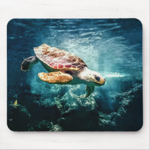 Sea Turtle Loggerhead Mouse Pad