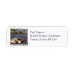 Sea Turtle Mailing Label