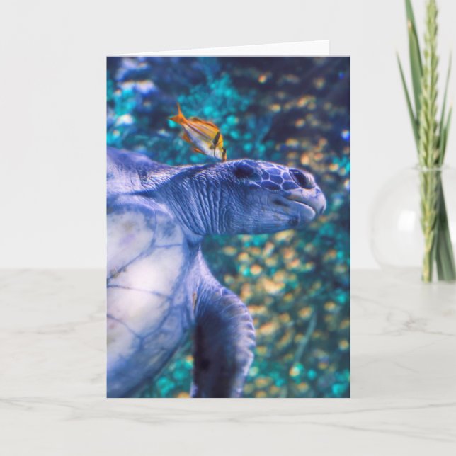 SEA TURTLE MANICURE CARD (Front)