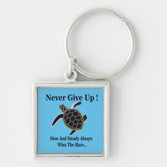 Sea Turtle Never Give Up 