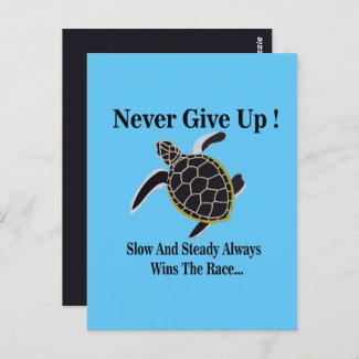 Sea Turtle Never Give Up 