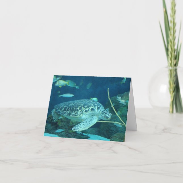 sea turtle note card (Front)