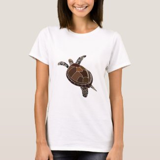 Sea Turtle Ocean Beach