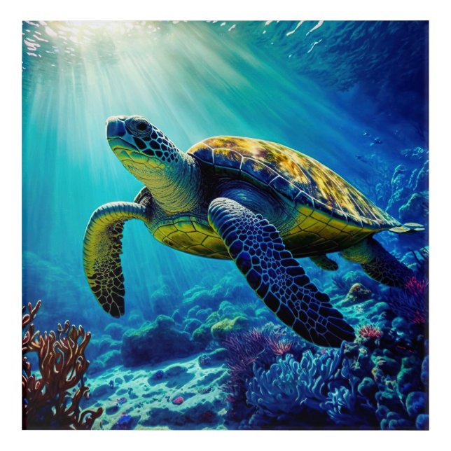Sea Turtle Ocean Marine Life Beach Nature Animals Acrylic Print (Front)