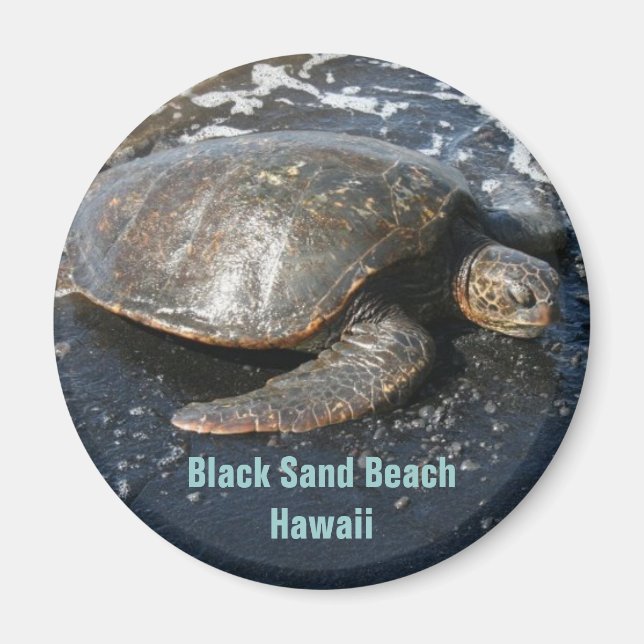 Sea Turtle on Black Sand Beach Hawaii Magnet (Front)