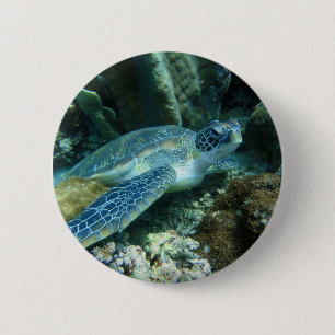 Sea Turtle on Seabed Photo Button