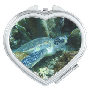 Sea Turtle on Seabed Photo Compact Mirror