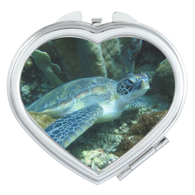Sea Turtle on Seabed Photo Compact Mirror (Front)