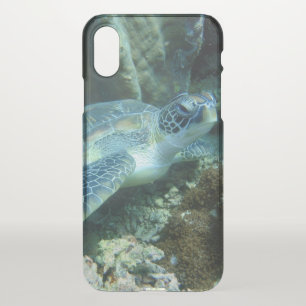 Sea Turtle on Seabed Photo iPhone X Case