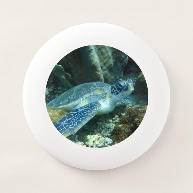 Sea Turtle on Seabed Photo Wham-O Frisbee (Front)