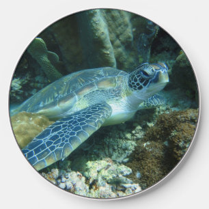 Sea Turtle on Seabed Photo Wireless Charger