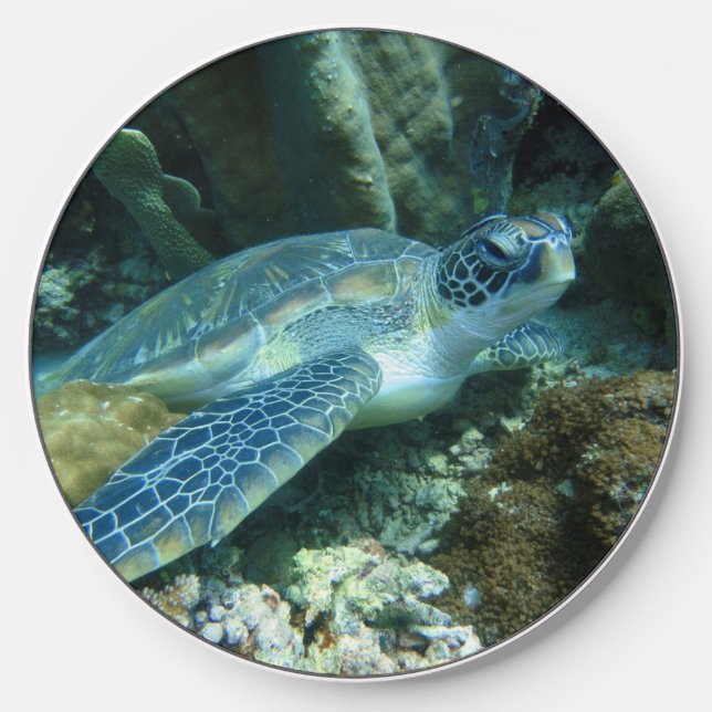 Sea Turtle on Seabed Photo Wireless Charger (Front)