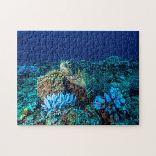 Sea Turtle on the Great Barrier Reef Jigsaw Puzzle