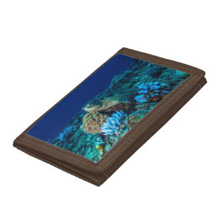 Sea Turtle on the Great Barrier Reef Trifold Wallet