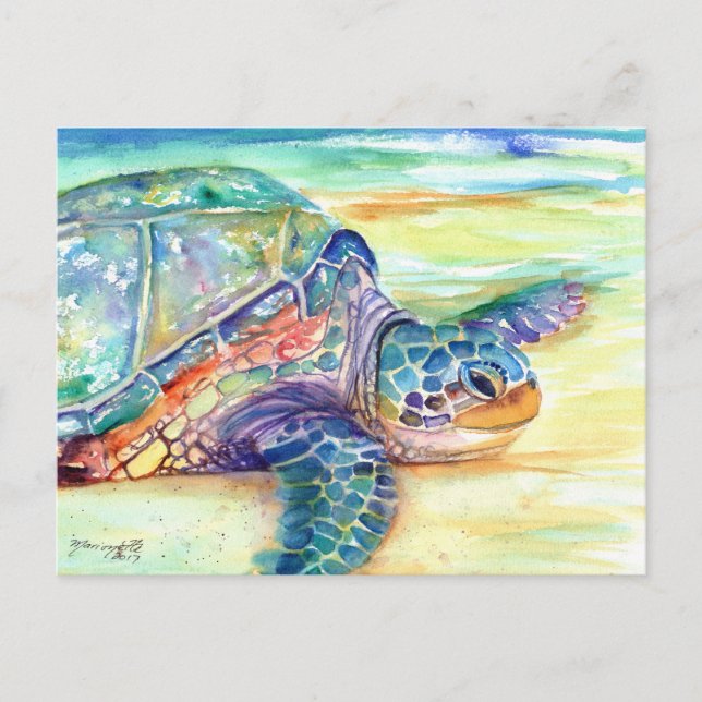 Sea Turtle on Tropical Beach Postcard (Front)