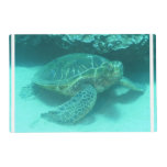 Sea Turtle Placemat