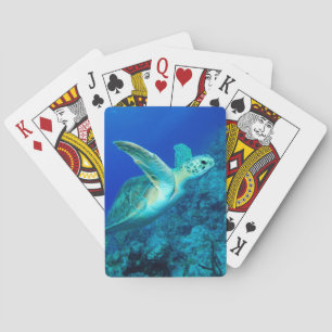 Sea Turtle Poker Cards