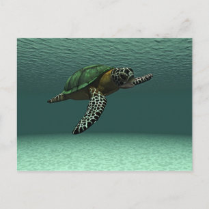 Sea turtle postcard