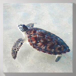 Sea Turtle Print Wall art Canvas Photo Tile