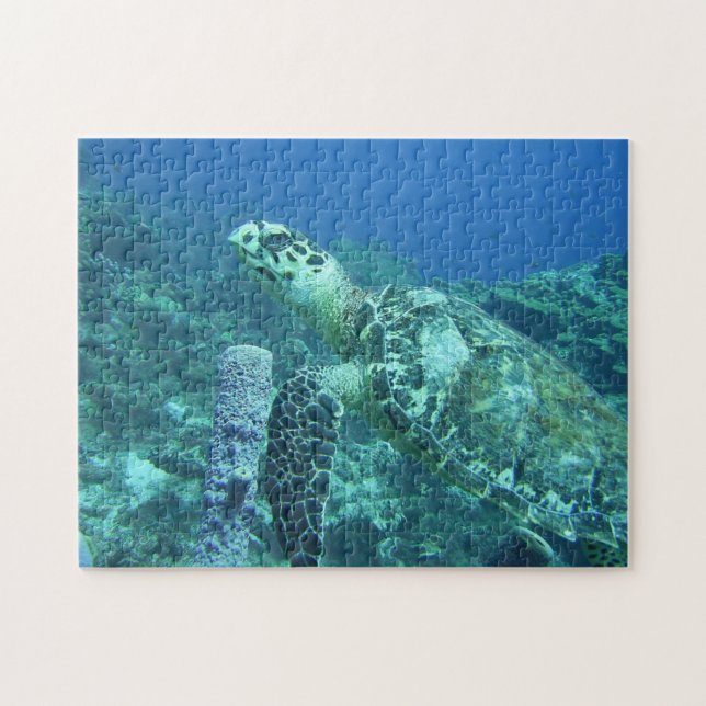 Sea Turtle Puzzle (Horizontal)