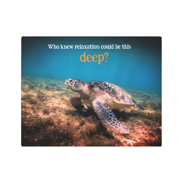 Sea turtle relaxing underwater metal print (Front)