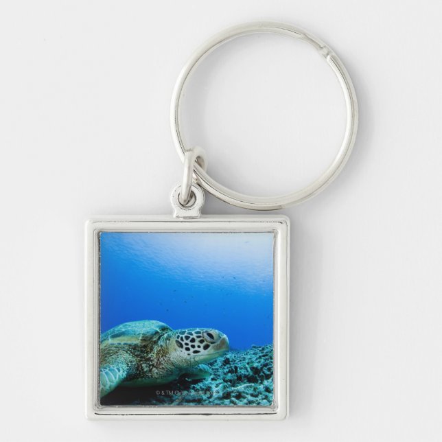 Sea turtle resting underwater keychain (Front)
