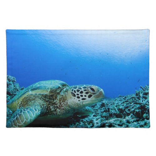 Sea turtle resting underwater placemat