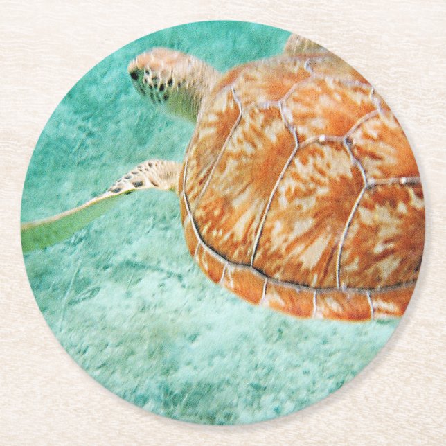 Sea Turtle Round Paper Coaster (Front)